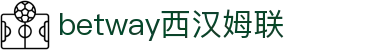 BETWAY·必威(西汉姆联)官方网站-West Ham United